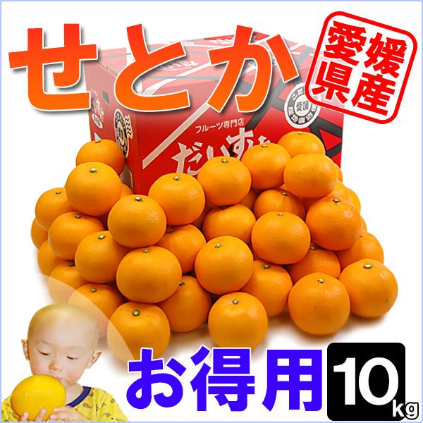 愛媛県産 せとか お得用 10ｋｇ | 
