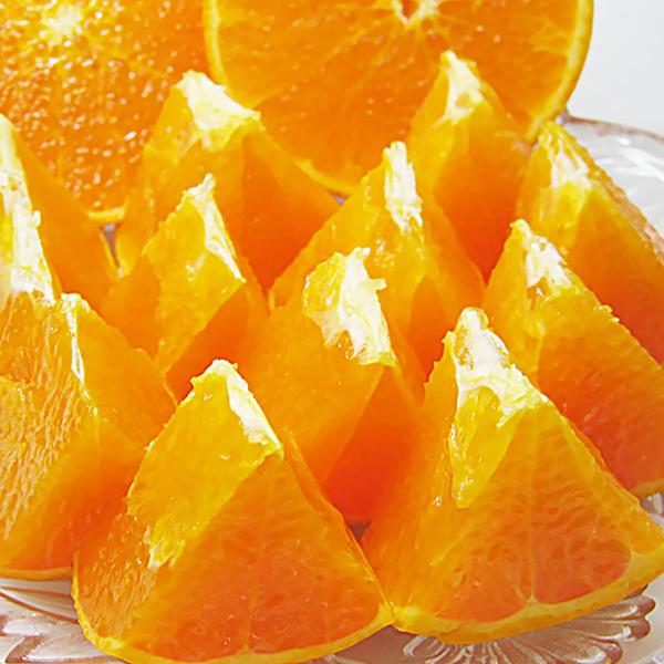 愛媛県産 せとか お得用 10ｋｇ |  | 07