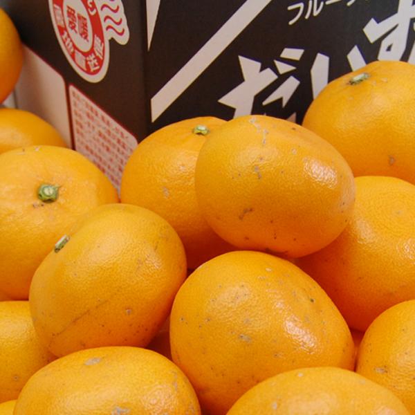 愛媛県産 せとか キズキズ君 5ｋｇ |  | 01