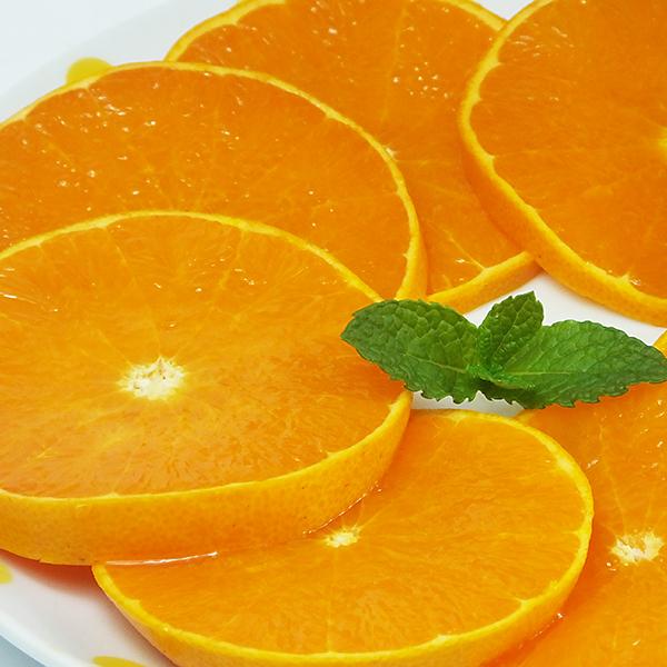 愛媛県産 せとか キズキズ君 5ｋｇ |  | 06