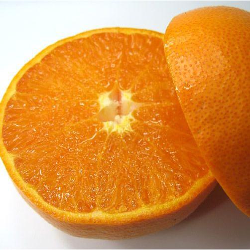 愛媛県産 せとか キズキズ君 10kg : 愛媛だいすけ果樹園 愛媛県産 せとか キズキズ君 10kg : 愛媛だいすけ果樹園