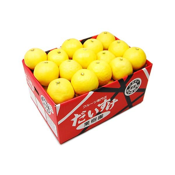 ニューサマーオレンジ お得用 5ｋｇ