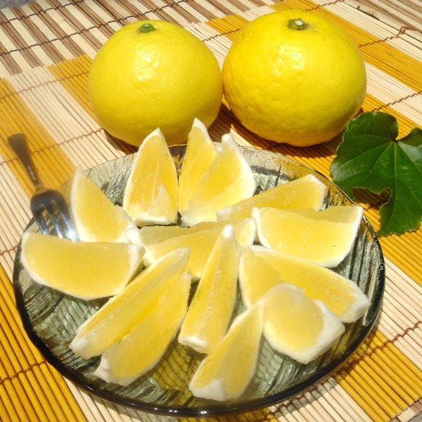 ニューサマーオレンジ お得用 5ｋｇ