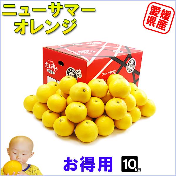 ニューサマーオレンジ お得用 10ｋｇ | 