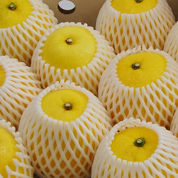 ニューサマーオレンジ ギフト用 ３ｋｇ |  | 01