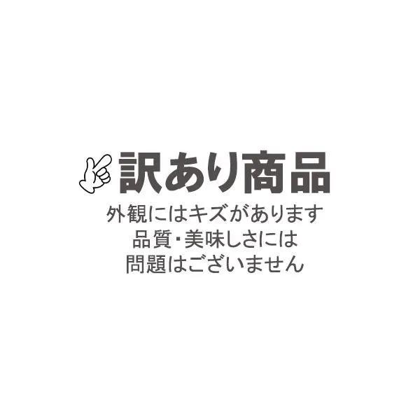 サンフルーツ キズキズ君 10ｋｇ |  | 09