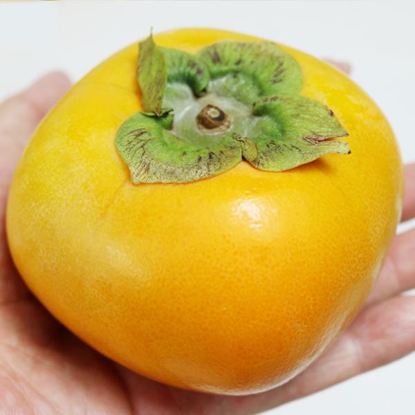 たねなし柿 ギフト用 5kg |  | 02