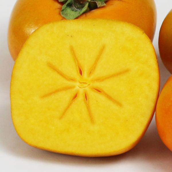 たねなし柿 ギフト用 5kg |  | 04