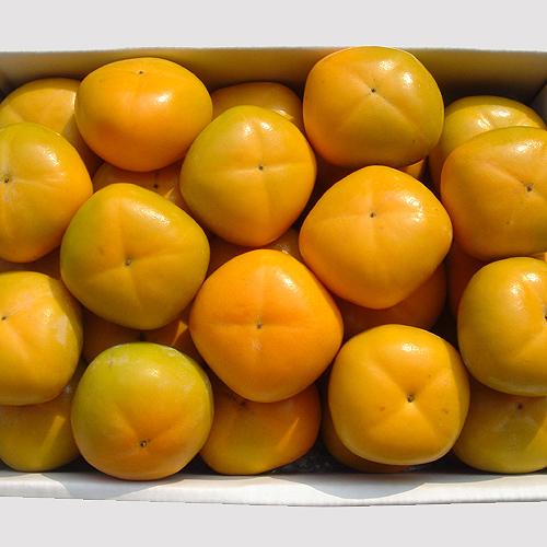 たねなし柿 ギフト用 5kg |  | 05