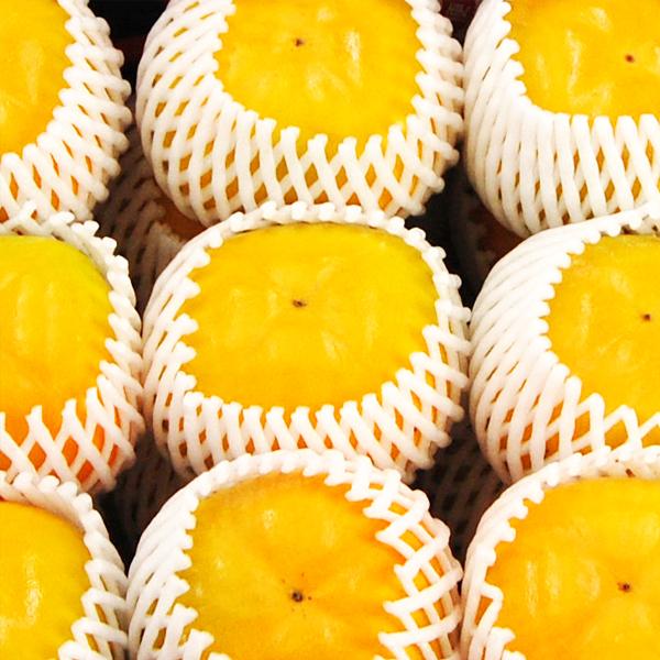 たねなし柿 ギフト用 5kg |  | 01