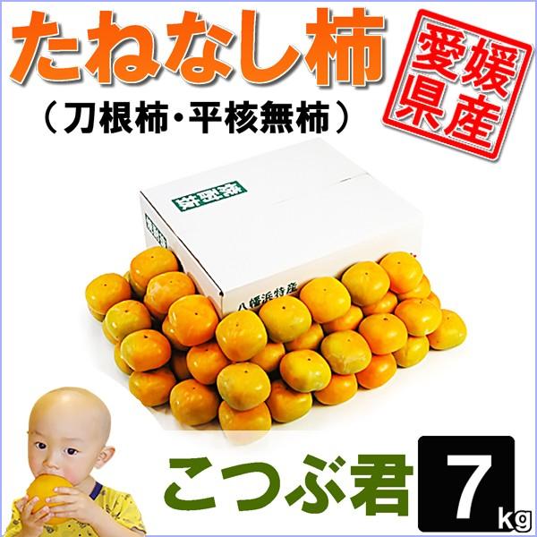 たねなし柿 こつぶ君 7kg | 