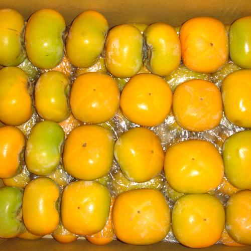 たねなし柿 こつぶ君 7kg |  | 02