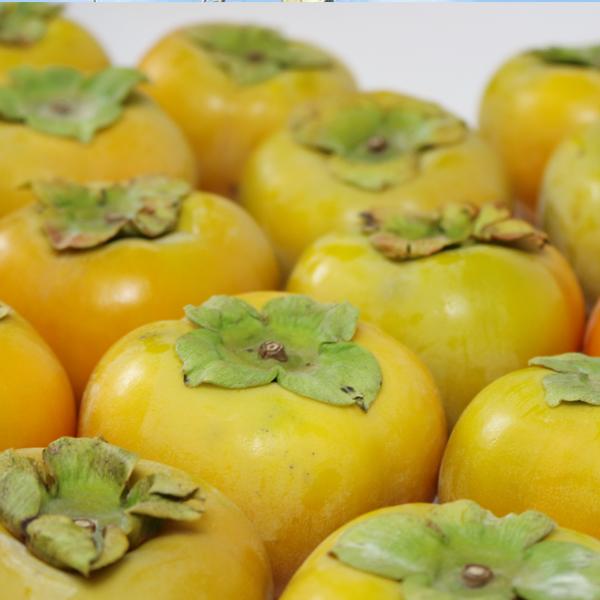 たねなし柿 こつぶ君 7kg |  | 02