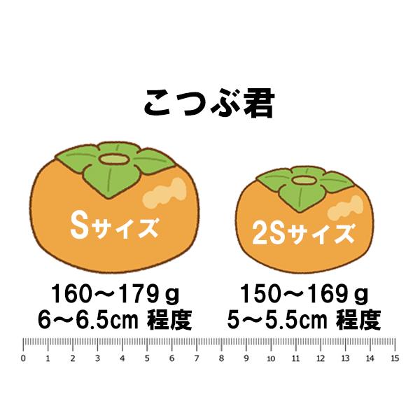 たねなし柿 こつぶ君 7kg |  | 11