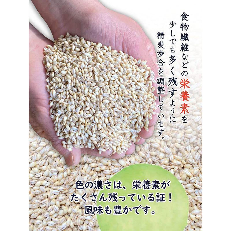 新規購入 信州ファーム荻原 もち麦 ごはん 信州産 健康 精麦 国産 長野県 5kg もちもち 食物繊維 大麦 はと麦 