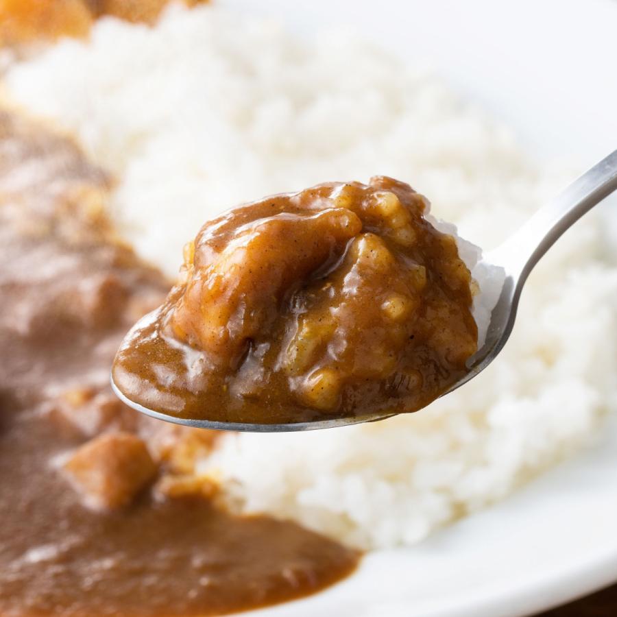 カレー 辛口 チキン  送料無料 200ｇ×10個 とり家ゑび寿 大人の辛口 若鳥焼き専門店のスパイシーチキンカレー とりやえびす｜daisyo-store｜03