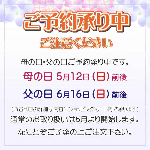 漬物 お試し 初夏のOAJIMI ミニトマト グリーンボール 大根 季節限定 京都直送｜daito-senmaiduke｜12