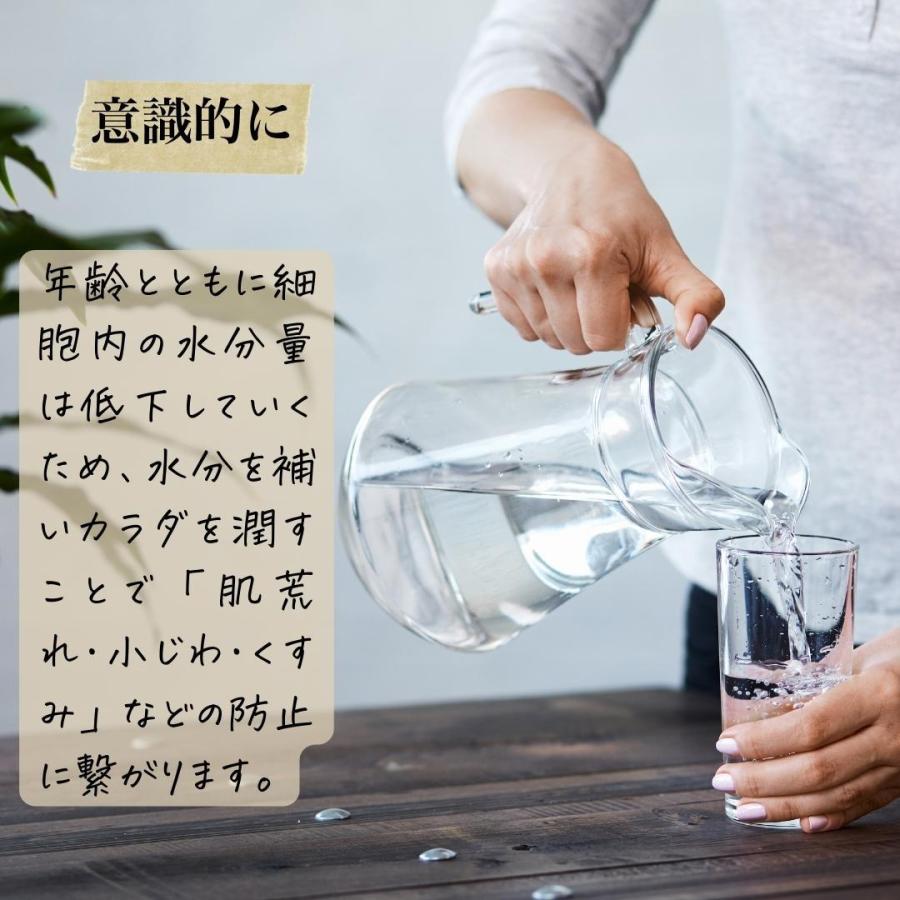 浄水ポット 国産 お試し 1家庭1台限り きよまろポット :P11:ダイト薬品Yahoo!ショッピング店 - 通販 - Yahoo!ショッピング 浄水ポット 国産 お試し 1家庭1台限り きよまろポット :P11:ダイト薬品Yahoo!ショッピング店 - 通販 - Yahoo!ショッピング