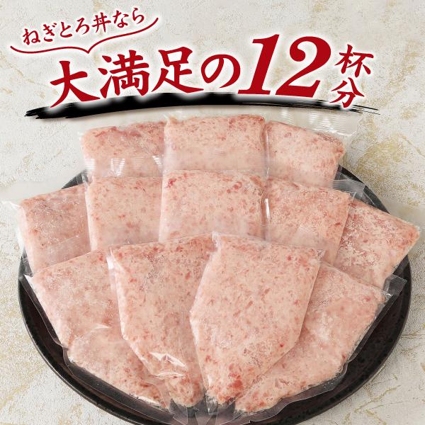 焼津 大富水産 メバチ まぐろ のみ使用！！ネギトロ12袋 : 焼津さかな