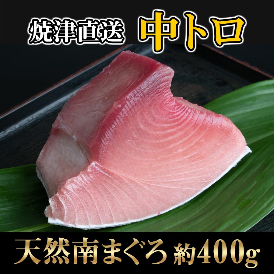 中トロ 中とろ まぐろ中とろ お刺身 天然まぐろ中とろ 焼津 直送 訳あり まぐろブロック 焼津さかなセンター D002 焼津さかなセンター だいとみ 通販 Yahoo ショッピング