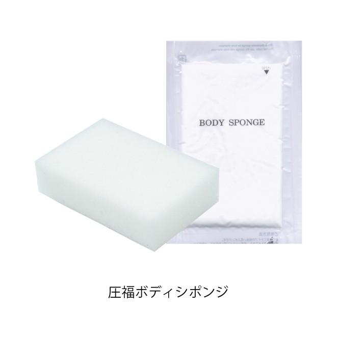 花王 販売 業務用 フィエスタ 洗顔 手洗いフォーム2l 容器 ボディスポンジ付