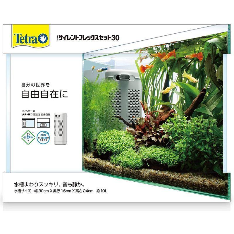 ５５ 以上節約 テトラ ホワイトアクアリウム スリム４２０ 42cm観賞魚飼育セット 熱帯魚 アクアリウム 水槽 水槽セット Shipsctc Org