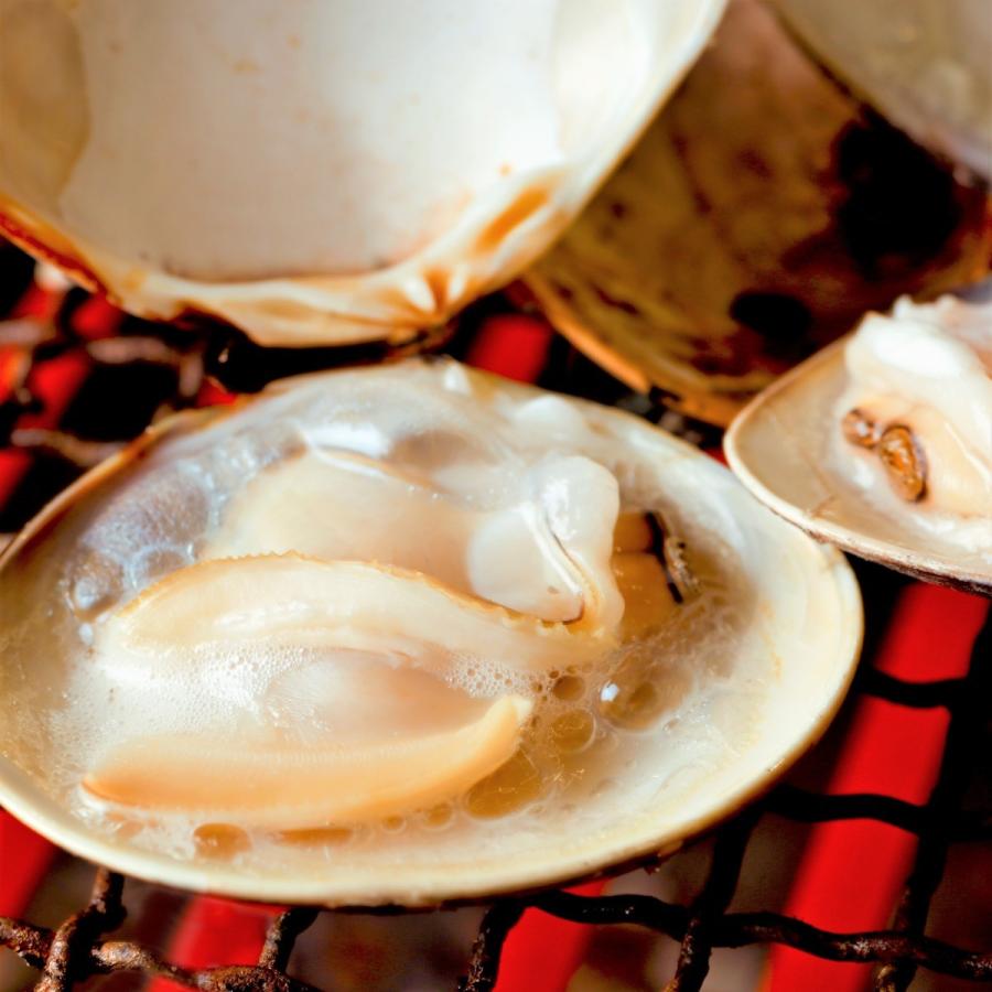 天然はまぐり7年もの3kg／桑名 はまぐり 活はまぐり 地はまぐり 大粒 通販 お取り寄せ はまぐり庵 6cm以上45粒前後 はまぐり