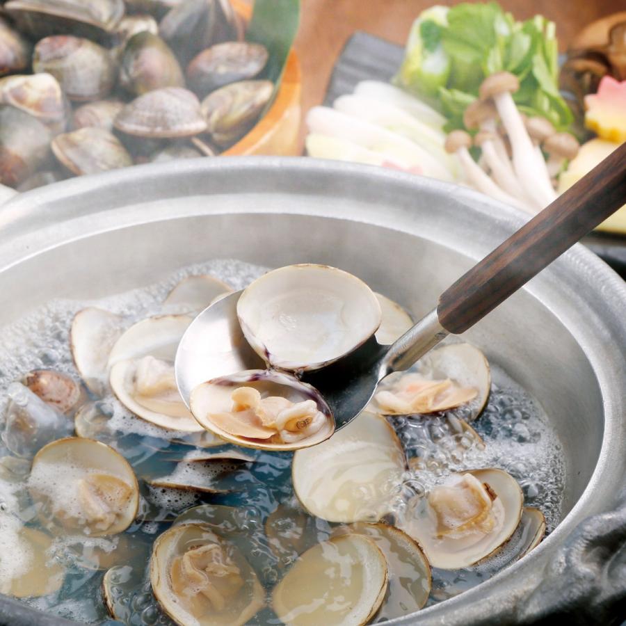 天然はまぐり7年もの3kg／桑名 はまぐり 活はまぐり 地はまぐり 大粒 通販 お取り寄せ はまぐり庵 6cm以上45粒前後 はまぐり