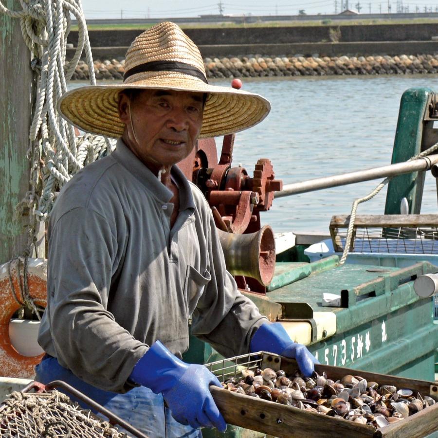 天然はまぐり7年もの3kg／桑名 はまぐり 活はまぐり 地はまぐり 大粒 通販 お取り寄せ はまぐり庵 6cm以上45粒前後 はまぐり