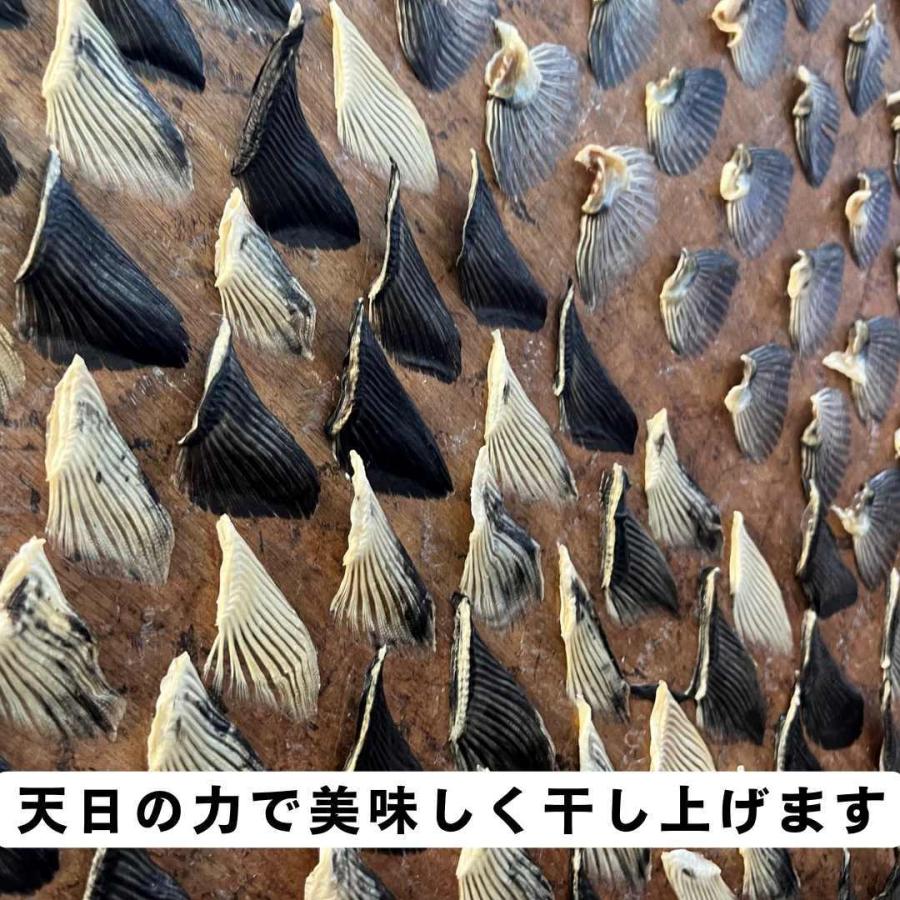 ふぐ とらふぐ干しヒレ200g 業務用 ヒレ酒 ひれ酒用とらふぐひれ ふぐ