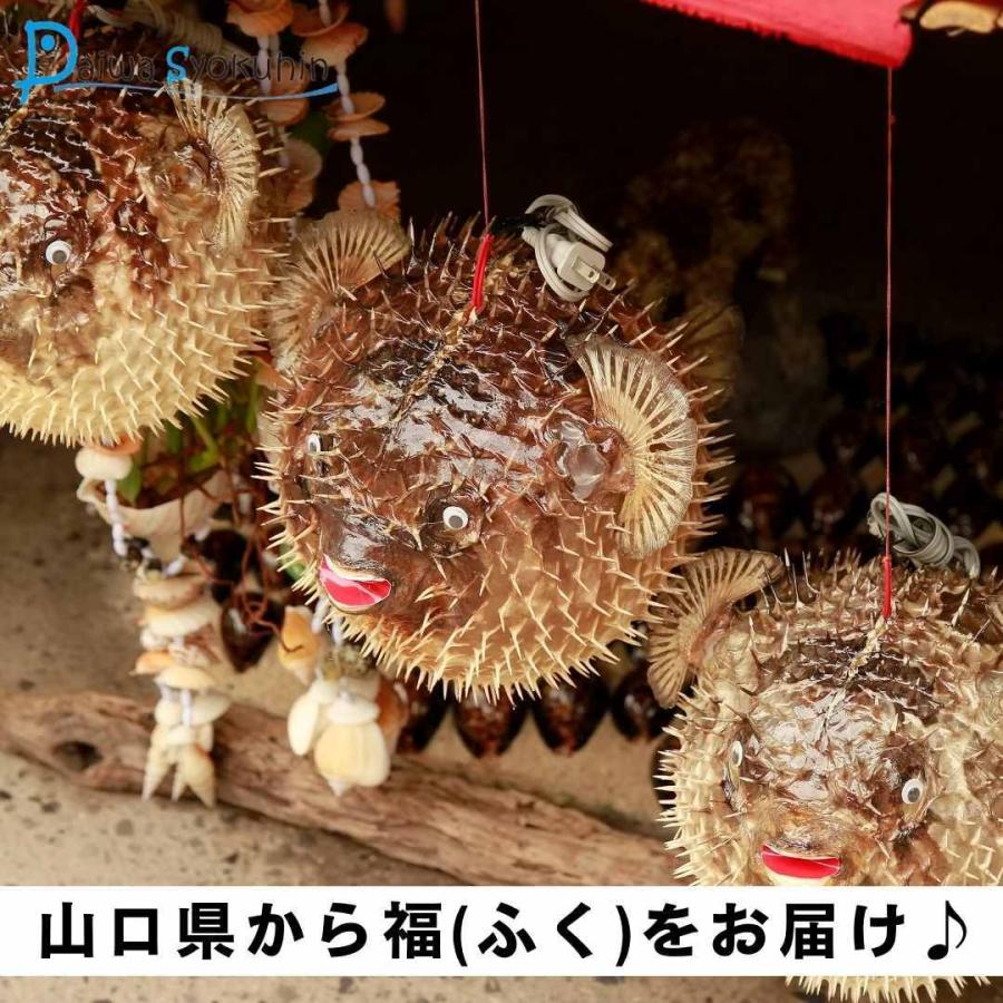 ふぐ とらふぐ干しヒレ200g 業務用 ヒレ酒 ひれ酒用とらふぐひれ ふぐ