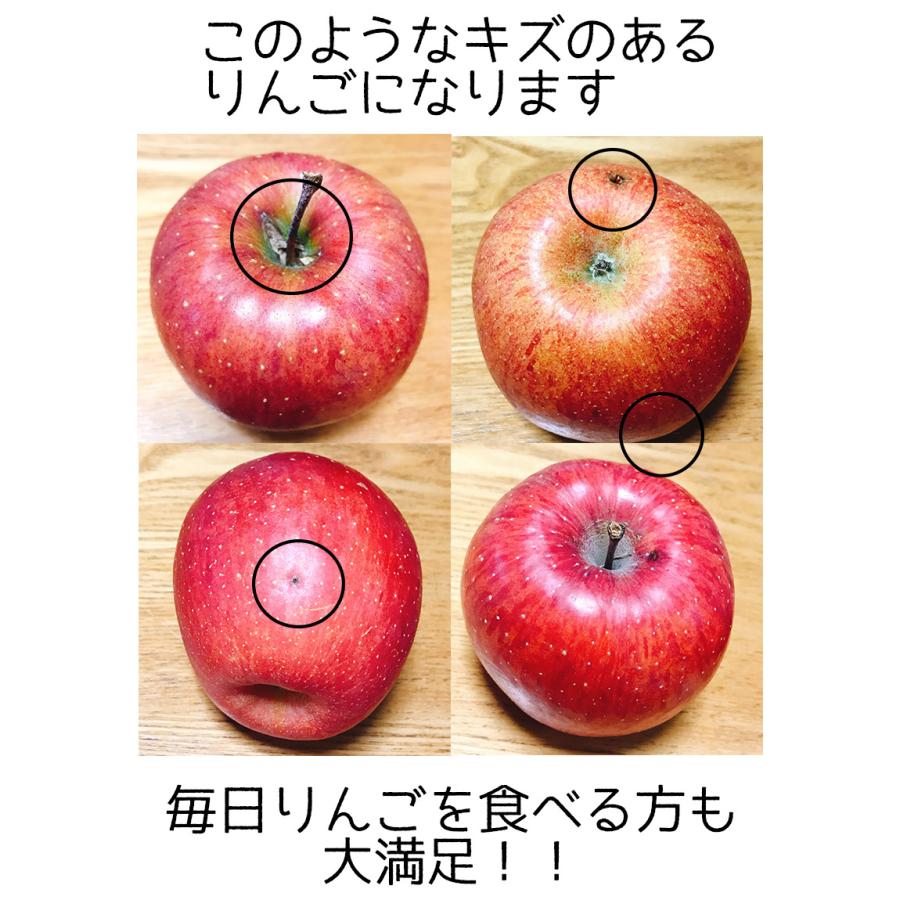 摘果りんご　加工用9kg