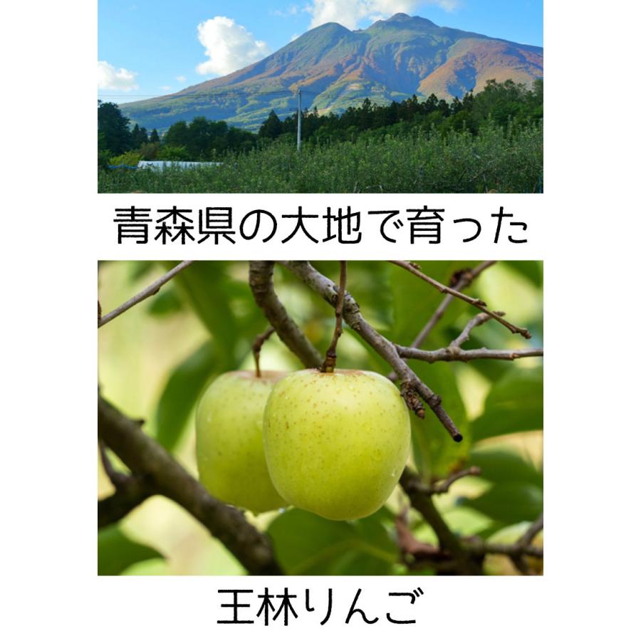 待望 りんご 訳あり 5kg 糖度保証 青森県産王林りんご 約5kg