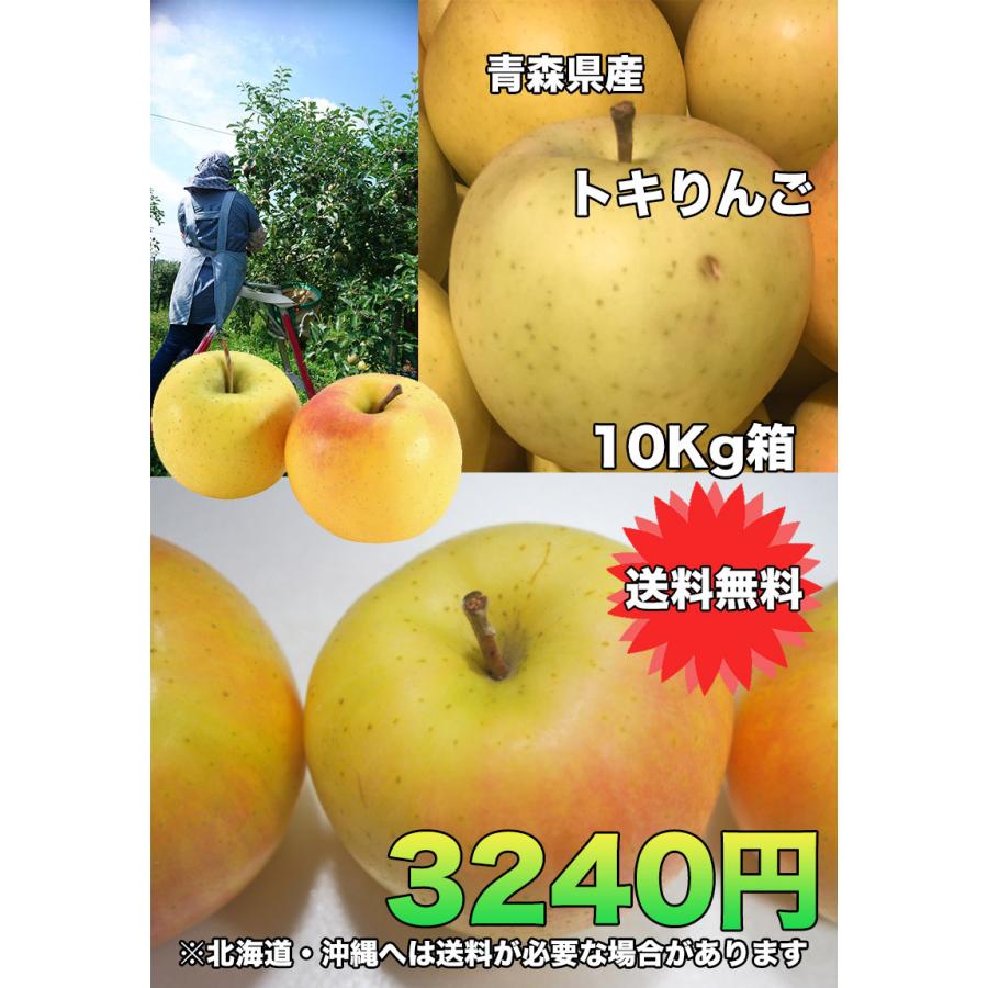 50%OFF!】 りんご トキ 訳あり 10kg 32〜46玉 送料無料 青森県産 家庭用 青森りんご whalestale.com.fj 50%OFF!】 りんご トキ 訳あり 10kg 32〜46玉 送料無料 青森県産 家庭用 青森りんご whalestale.com.fj