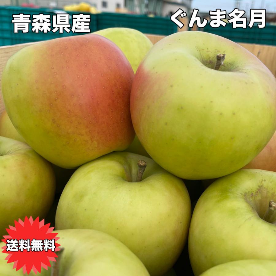 りんご 訳あり 10kg 青森県産 ぐんま 名月 約10kg 訳あり 幻のりんご 送料無料 傷あり【予約 11月下旬頃から】 :appleg020-010a:大和屋 旬果庵 - 通販 - Yahoo!ショッピング りんご 訳あり 10kg 青森県産 ぐんま 名月 約10kg 訳あり 幻のりんご 送料無料 傷あり【予約 11月下旬頃から】 :appleg020-010a:大和屋 旬果庵 - 通販 - Yahoo!ショッピング
