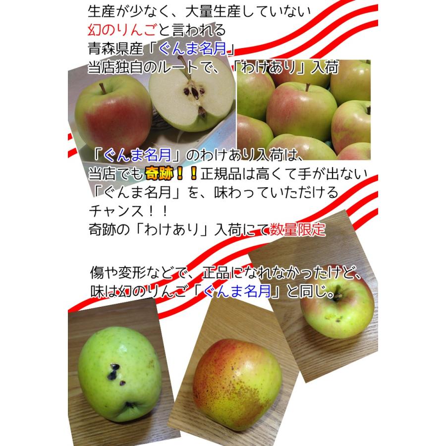 りんご 訳あり 10kg 青森県産 ぐんま 名月 約10kg 訳あり 幻のりんご Appleg0 010a 大和屋 旬果庵 通販 Yahoo ショッピング