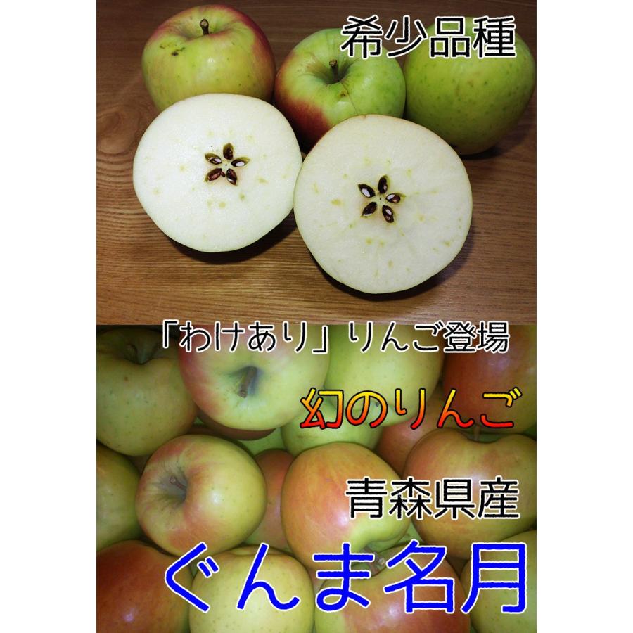 りんご 訳あり 5kg 青森県産 ぐんま 名月 約5kg 訳あり 幻のりんご 送料無料 傷あり 11月下旬頃から発送開始｜daiwaya-syunkaan｜02