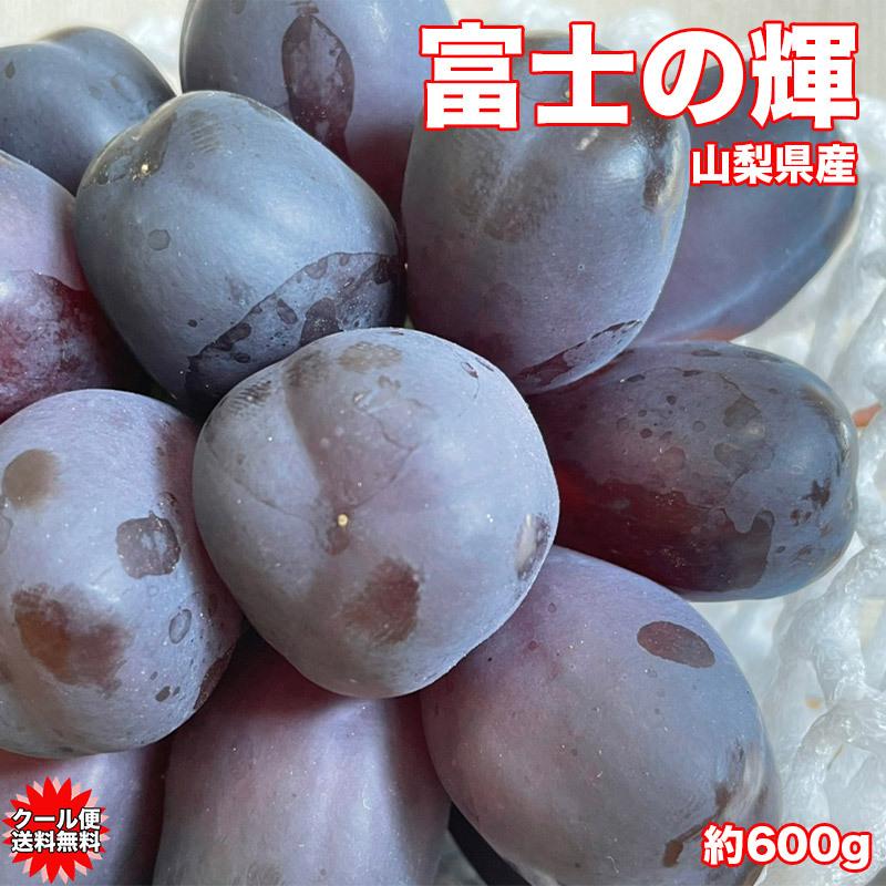 ぶどう シャインマスカット ブラックシャインマスカット 山梨県産 富士 