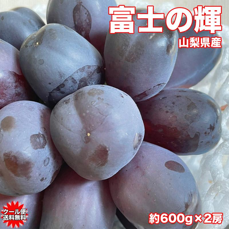 ぶどう シャインマスカット ブラックシャインマスカット 山梨県産 富士