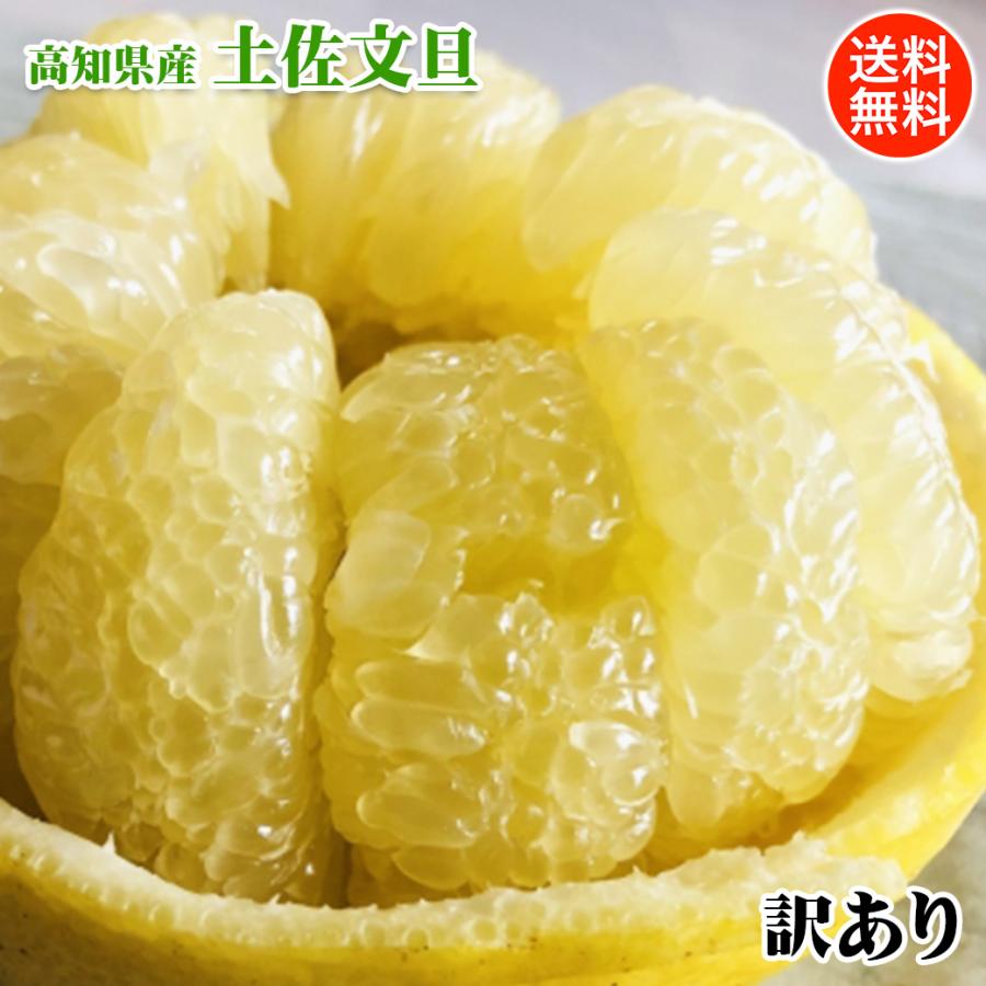 土佐文旦 3Lサイズ家庭用9kg入り×2 【公式通販】
