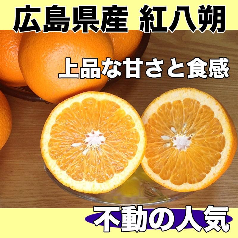 はっさく 八朔 みかん 訳あり 10Kg 広島県産 紅八朔 3Lサイズ 約10kg 送料無料 お試し｜daiwaya-syunkaan｜02