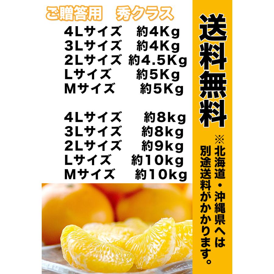 はっさく 八朔 みかん 訳あり 10Kg 広島県産 紅八朔 3Lサイズ 約10kg 送料無料 お試し｜daiwaya-syunkaan｜08