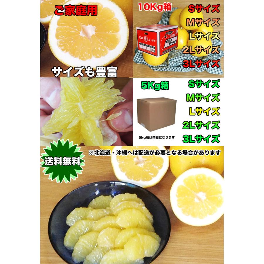 河内晩柑 宇和ゴールド 夏文旦 みかん 5Kg ご家庭用 送料無料 愛媛県産 宇和ゴールド Lサイズ 約5kg 送料無料 3月中旬頃から｜daiwaya-syunkaan｜07