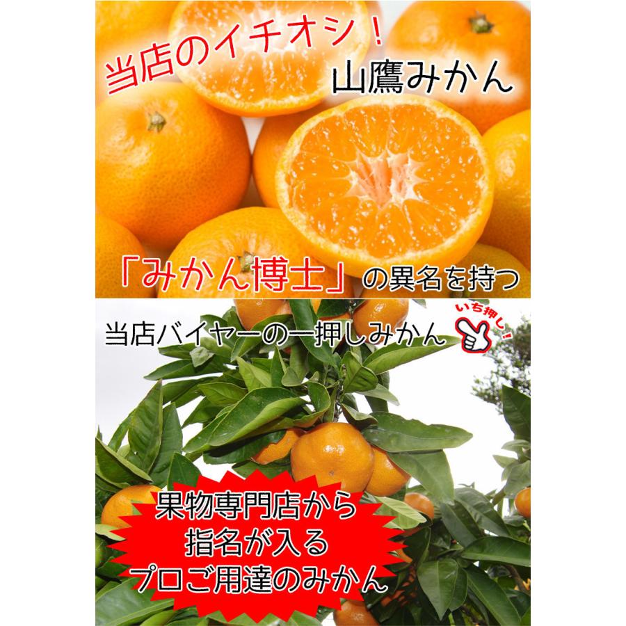 みかん 訳あり 5Kg 送料無料 ご家庭用 和歌山県 有田みかん 山鷹みかん Lサイズ 5Kg ギフト :citrus010-022:大和屋 旬果庵 - 通販 - Yahoo!ショッピング みかん 訳あり 5Kg 送料無料 ご家庭用 和歌山県 有田みかん 山鷹みかん Lサイズ 5Kg ギフト :citrus010-022:大和屋 旬果庵 - 通販 - Yahoo!ショッピング