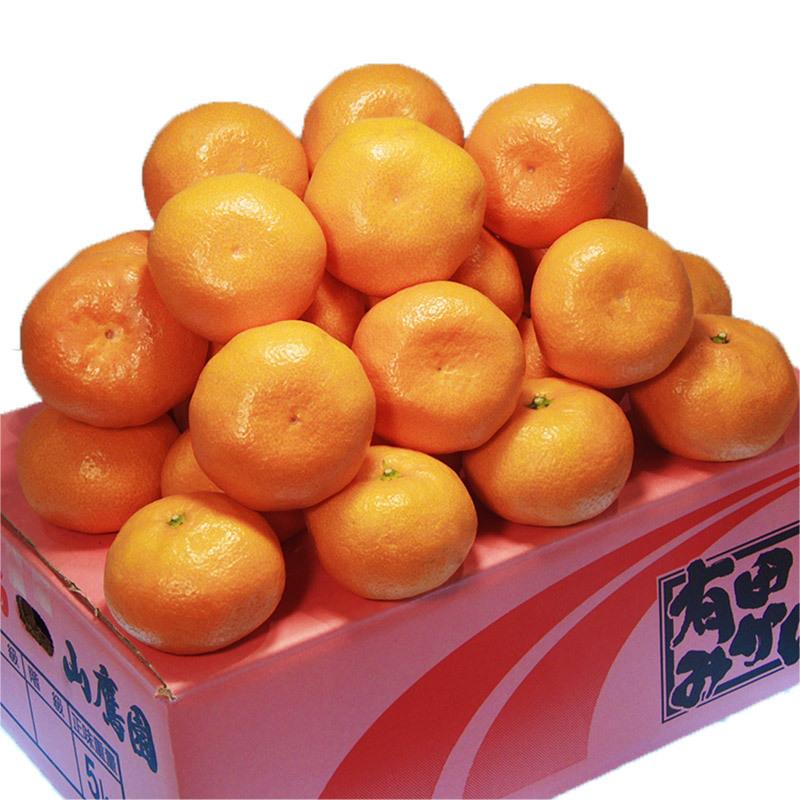 みかん 訳あり 5Kg 送料無料 ご家庭用 和歌山県 有田みかん 山鷹みかん Lサイズ 5Kg ギフト :citrus010-022:大和屋 旬果庵 - 通販 - Yahoo!ショッピング みかん 訳あり 5Kg 送料無料 ご家庭用 和歌山県 有田みかん 山鷹みかん Lサイズ 5Kg ギフト :citrus010-022:大和屋 旬果庵 - 通販 - Yahoo!ショッピング
