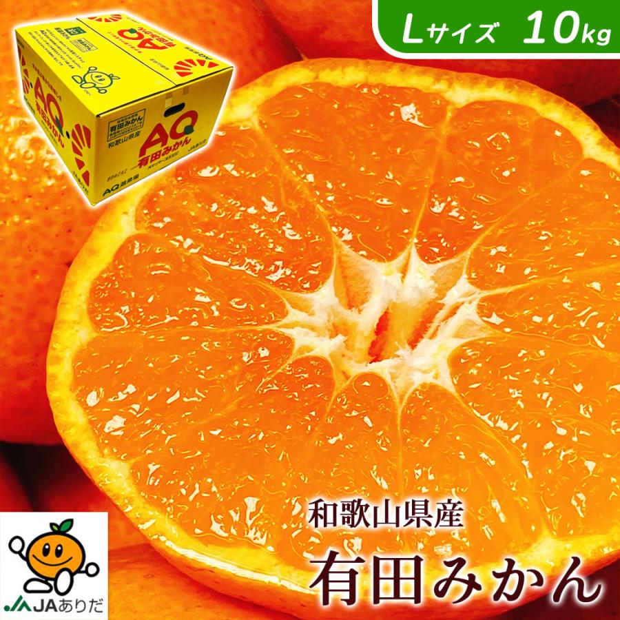 みかん 10kg 甘いみかん 有田 AQ 送料無料 和歌山 秀品 Lサイズ 贈答用