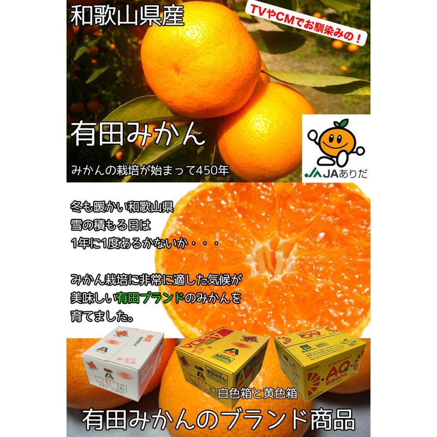 みかん 10kg 有田 送料無料 和歌山 赤秀 Lサイズ 贈答用 ギフト みかん 10kg 有田 送料無料 和歌山 赤秀 Lサイズ 贈答用 ギフト