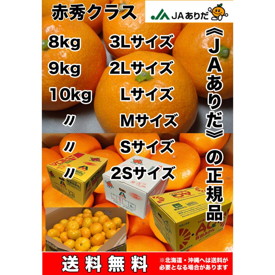 みかん 10kg 有田 送料無料 和歌山 赤秀 Lサイズ 贈答用 ギフト みかん 10kg 有田 送料無料 和歌山 赤秀 Lサイズ 贈答用 ギフト