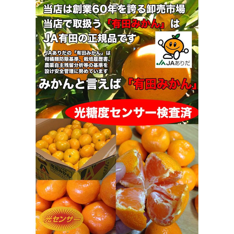 みかん 10kg 有田 送料無料 和歌山 赤秀 Sサイズ 贈答用 ギフト みかん 10kg 有田 送料無料 和歌山 赤秀 Sサイズ 贈答用 ギフト