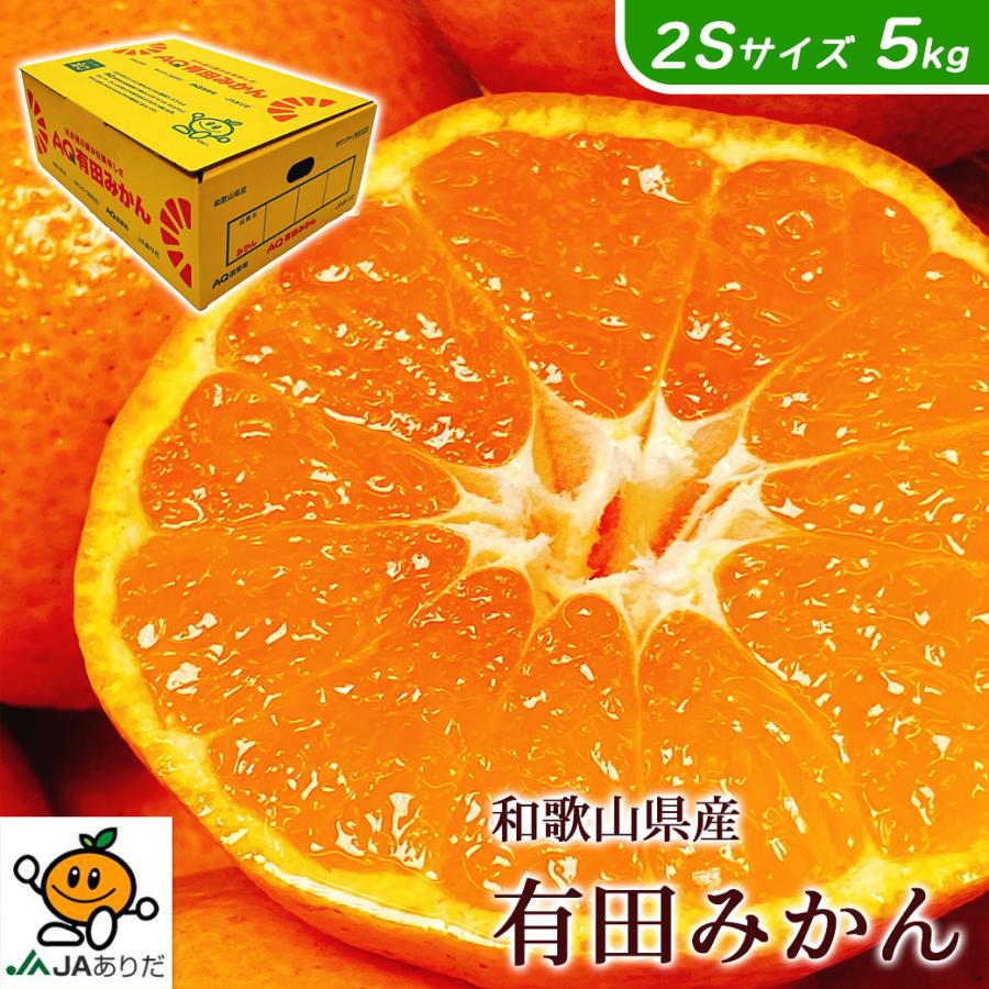 みかん 小玉 5kg 甘いみかん 有田 AQ 送料無料 和歌山 秀品 2Sサイズ